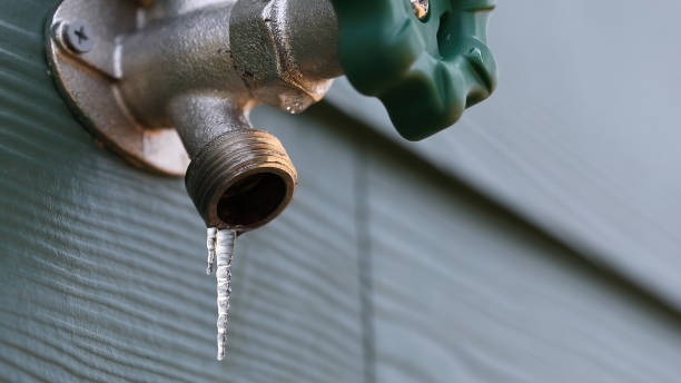 Best Drain Cleaning Services  in Springdale, PA